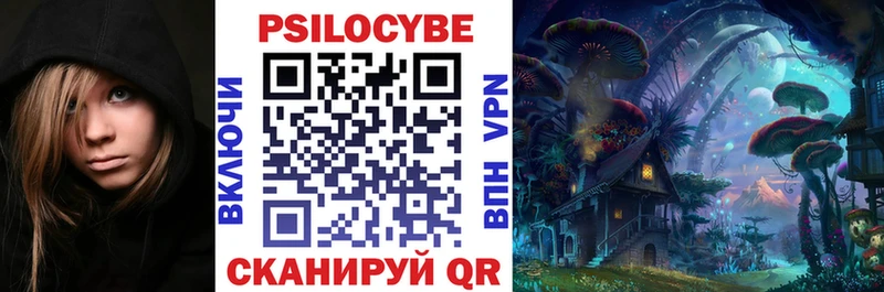 Купить  Тамбов  Псилоцибиновые грибы MAGIC MUSHROOMS 